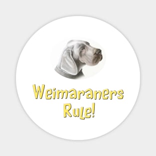 Weimaraners Rule! Magnet